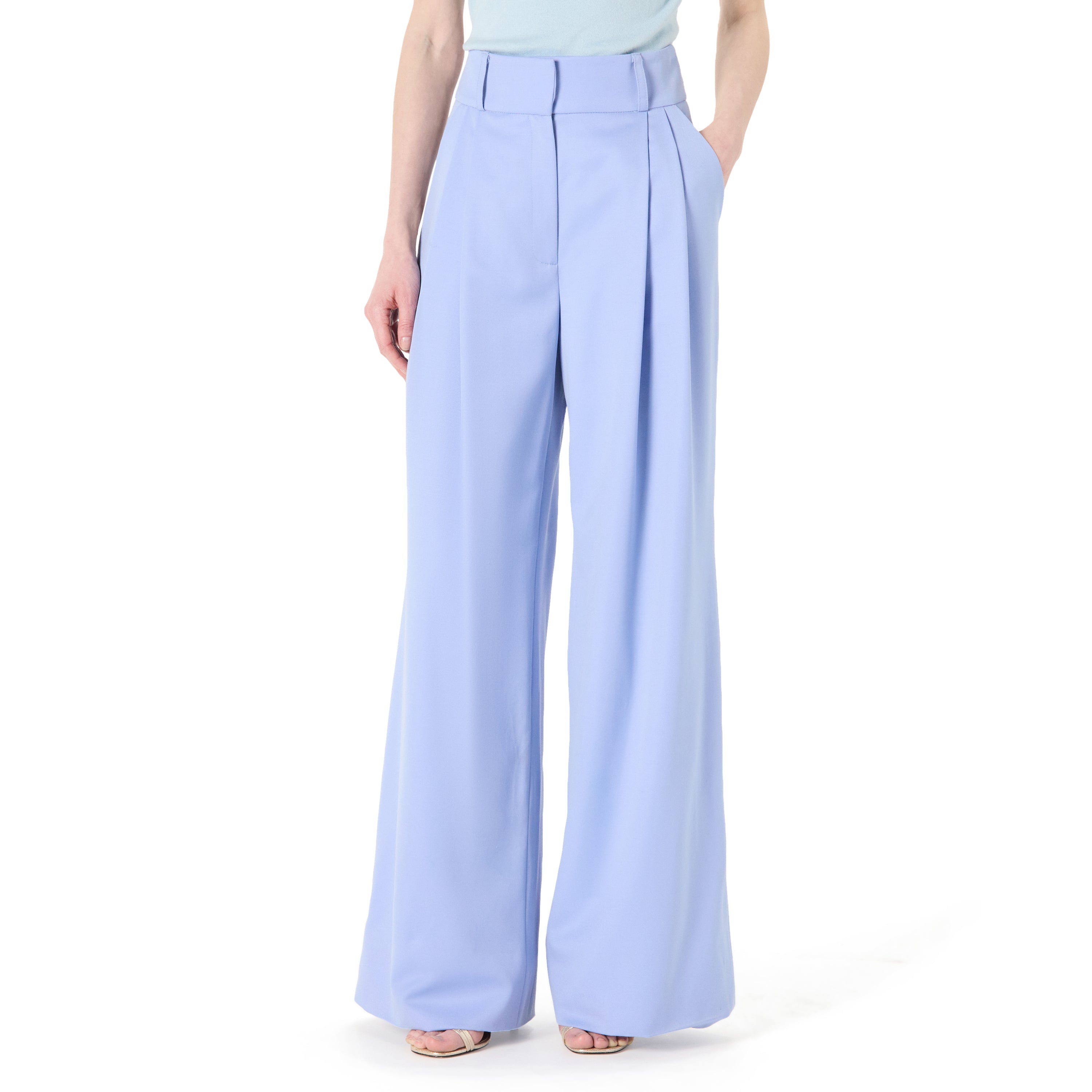 Double Pleat Wide Leg Pant